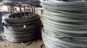 盤(pán)元，盤(pán)螺